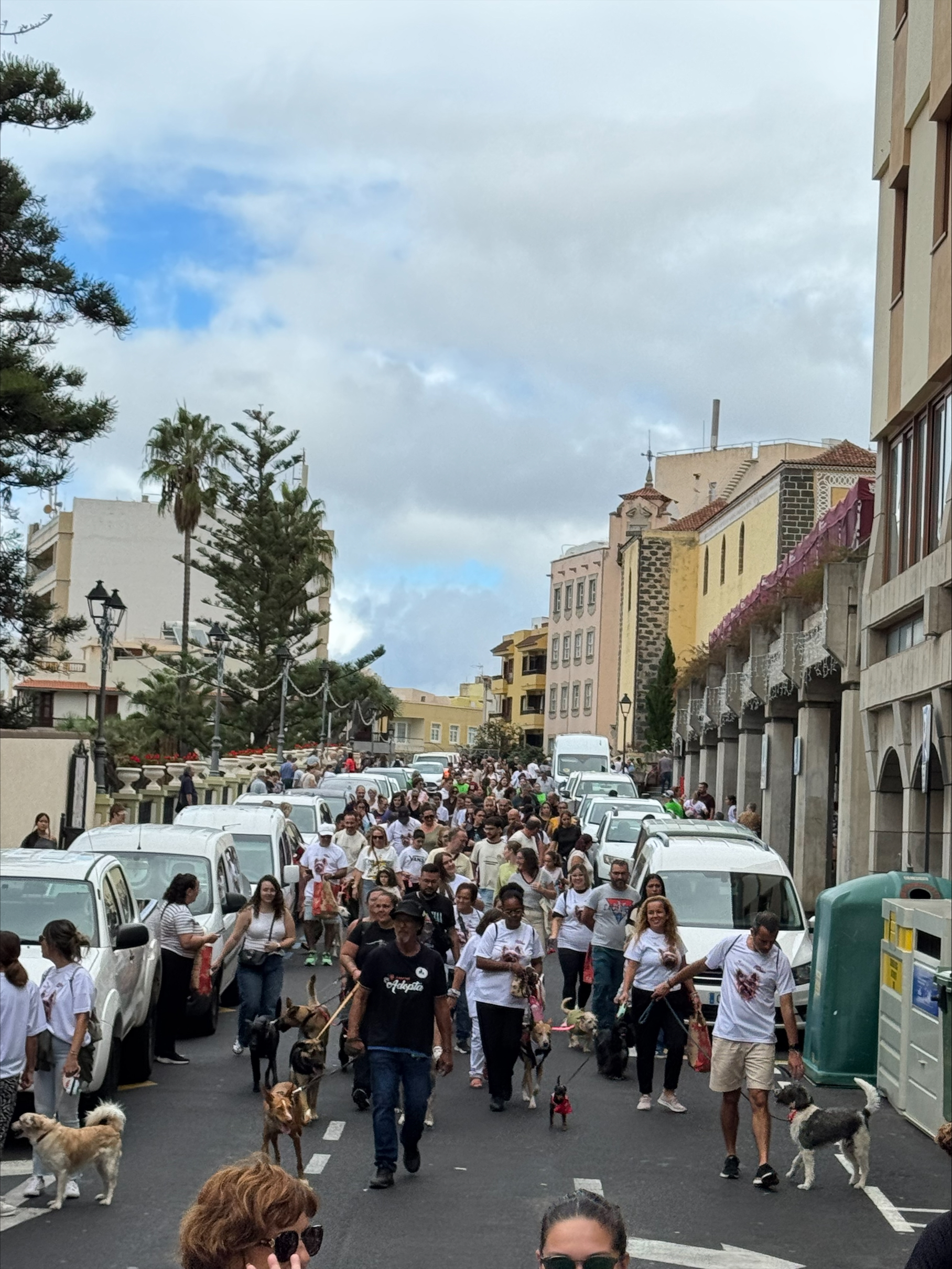 paseocaninosolidario2025