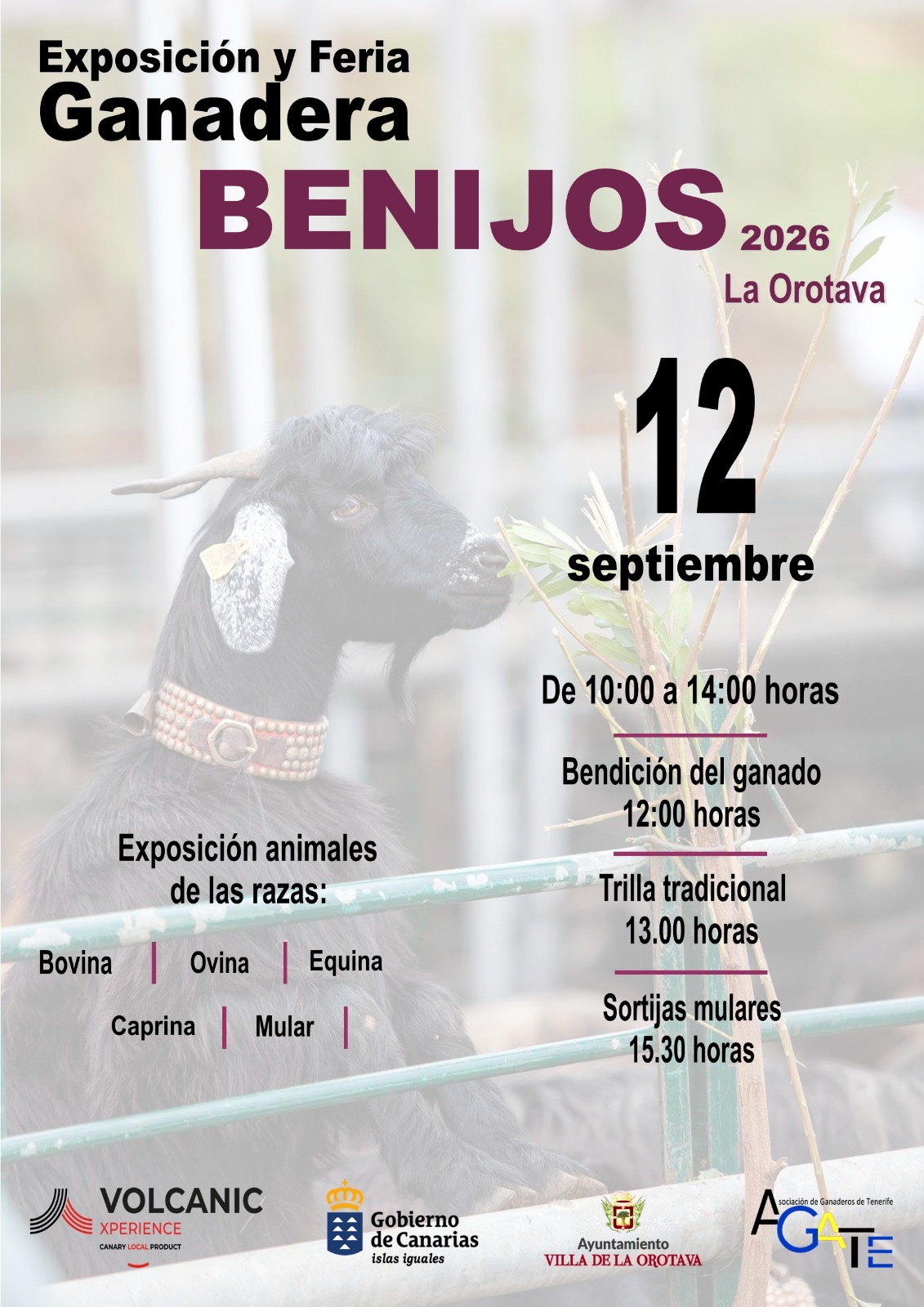Ganadería