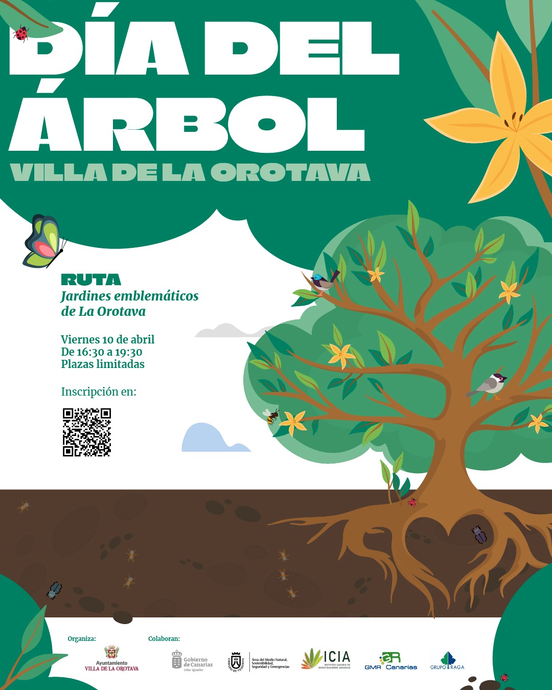 Ruta: Jardines emblemáticos de La Orotava