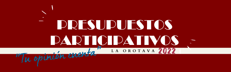Botón acceso área de Participación Ciudadana