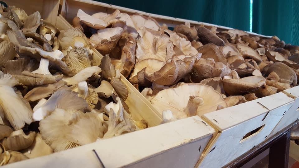 mercadillo_01
