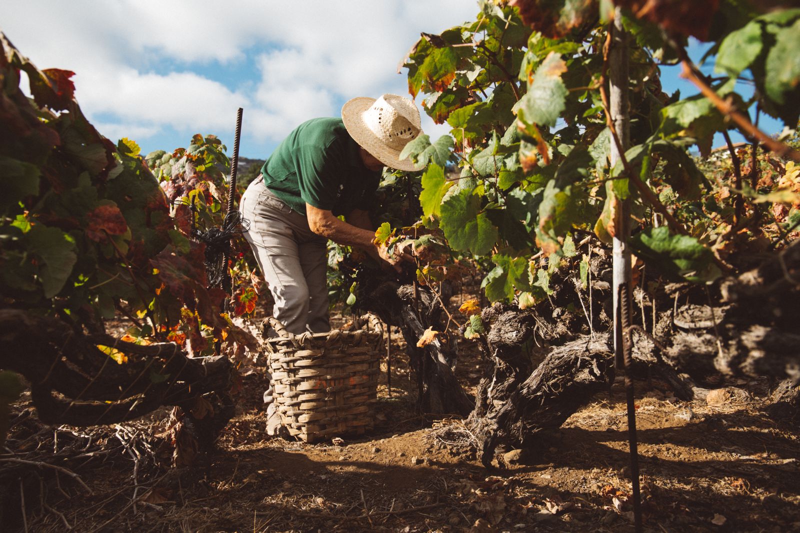 El cordón trenzado del Valle de La Orotava protagoniza un congreso Internacional de la ULL