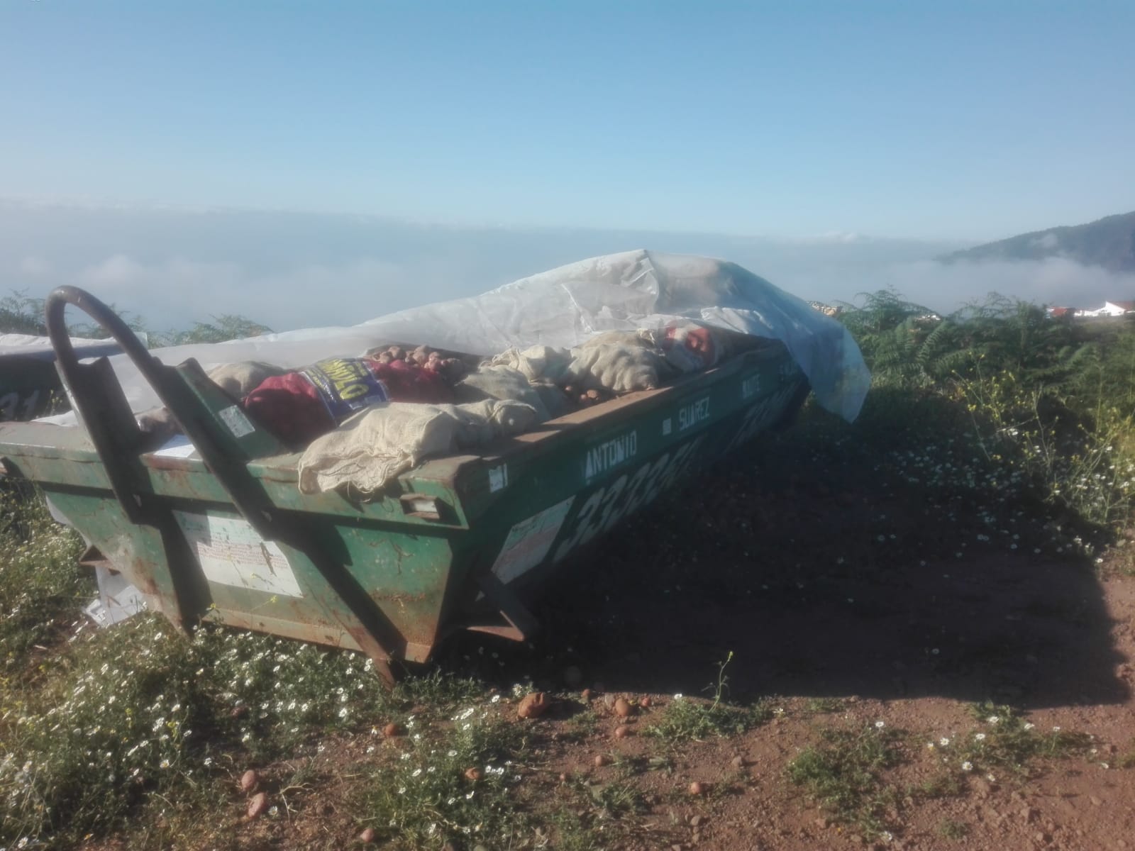 La Orotava vuelve a contar con contenedores para depositar las papas dañadas por la polilla