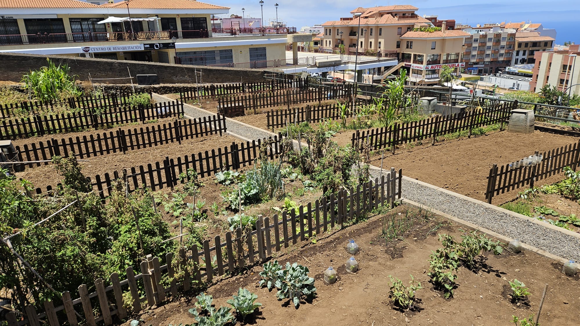 Abierto el plazo para solicitar un huerto ecológico urbano municipal
