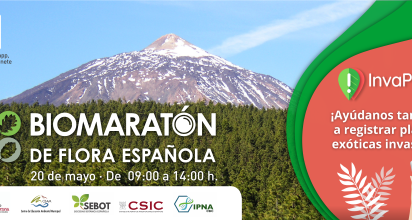 cartel biomaraton de la orotava