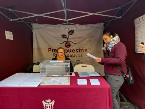 presupuestos
