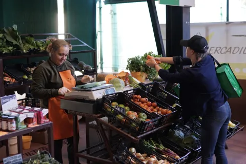 mercadillo