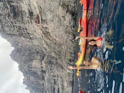 1 (1)
