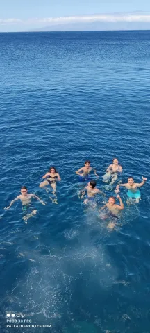 1 (10)