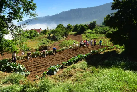 Captura de pantalla 2017-07-05 a las 17.58.15