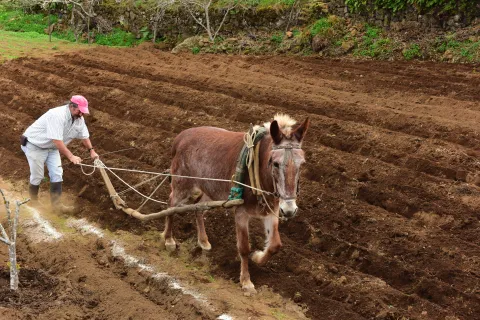 Captura de pantalla 2017-07-05 a las 17.59.18