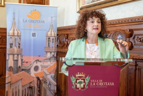 Comité_Orotava_29_03_2025_003