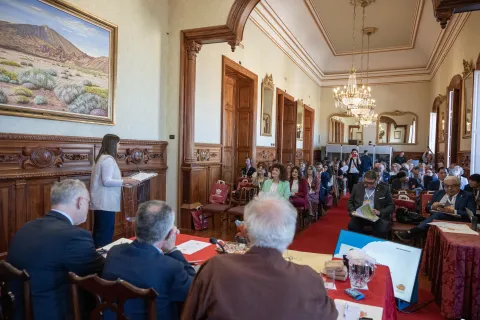 Comité_Orotava_29_03_2025_004