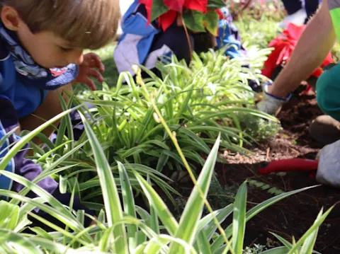 WhatsApp Image 2024-12-06 at 11.31.58 (1)