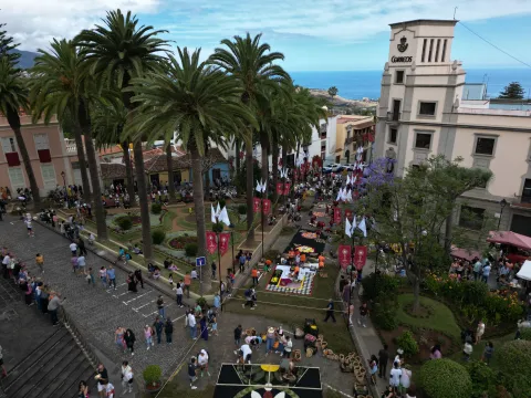 DJI_0050