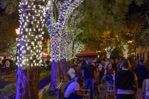 encendido navidad-57