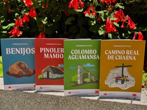 WhatsApp Image 2024-07-08 at 14.23.36