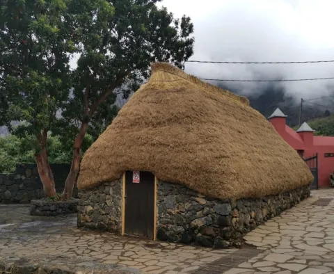 WhatsApp Image 2023-11-20 at 18.37.18