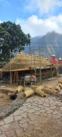 WhatsApp Image 2023-11-20 at 18.38.03