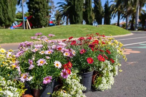 488990432_10234568871620695_8119277082872167261_n