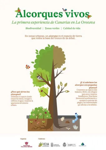 489297884_10214612615067229_5608626848854670316_n