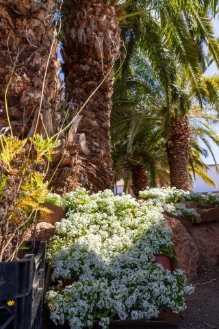 489496124_10214612611667144_4077148943825482585_n