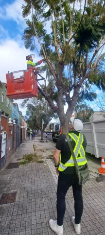 6c812ddb-201d-43e5-8e48-2be373c4573f