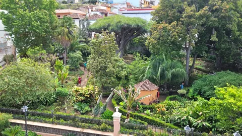 WhatsApp Image 2024-04-30 at 15.10.43