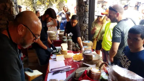 7e2d80a8-1210-4971-989a-2e4ae946d5c2