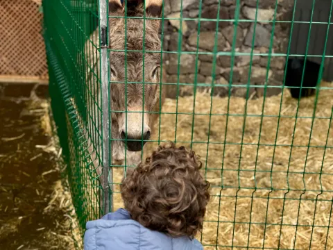 a7677df9-ae9c-41d0-b93b-410e8f88a9d9