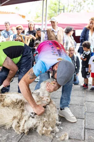 500079350_10235186690705786_5022492576726229018_n