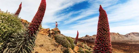 Captura de pantalla 2017-07-05 a las 18.03.14