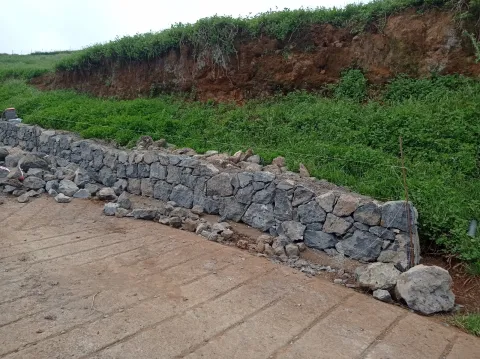 f9496914-24d7-4ce1-9fa7-8697bad7f4df