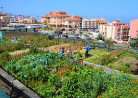 Abierto el plazo de inscripción para solicitar parcela en el Huerto Urbano Ecológico Municipal 