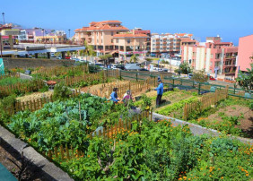 Abierto el plazo para solicitar un huerto ecológico urbano
