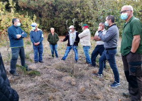 El ayuntamiento estudia proteger la variedad tradicional de manzanero Pajarita