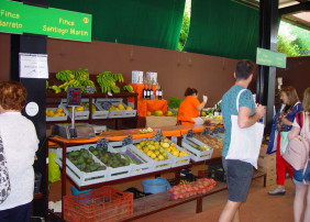 Santiago Martín garantiza plátanos maduros durante todo el año en el Mercadillo Valle de La Orotava  