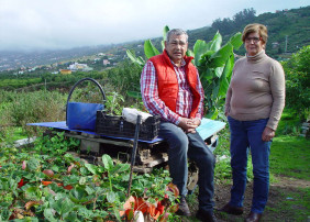 El Mercadillo Valle de La Orotava tiene 8.800 metros cuadrados de cultivo ecológico en La Perdoma