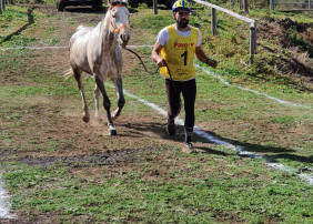 Jeremías Marrero Morales gana la prueba reina del XIX Raid Hípico de Benijos (Copa Villa de la Orotava)