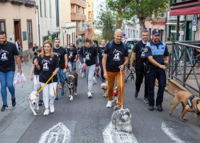 Alcalde junto a concejales en el paseo Canino