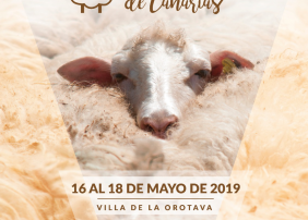 La Orotava acoge el IV Festival de la Lana de Canarias los días 17 y 18 de mayo