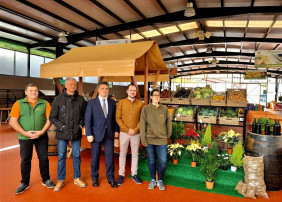 El Mercadillo del Agricultor del Valle de La Orotava estrena nueva imagen