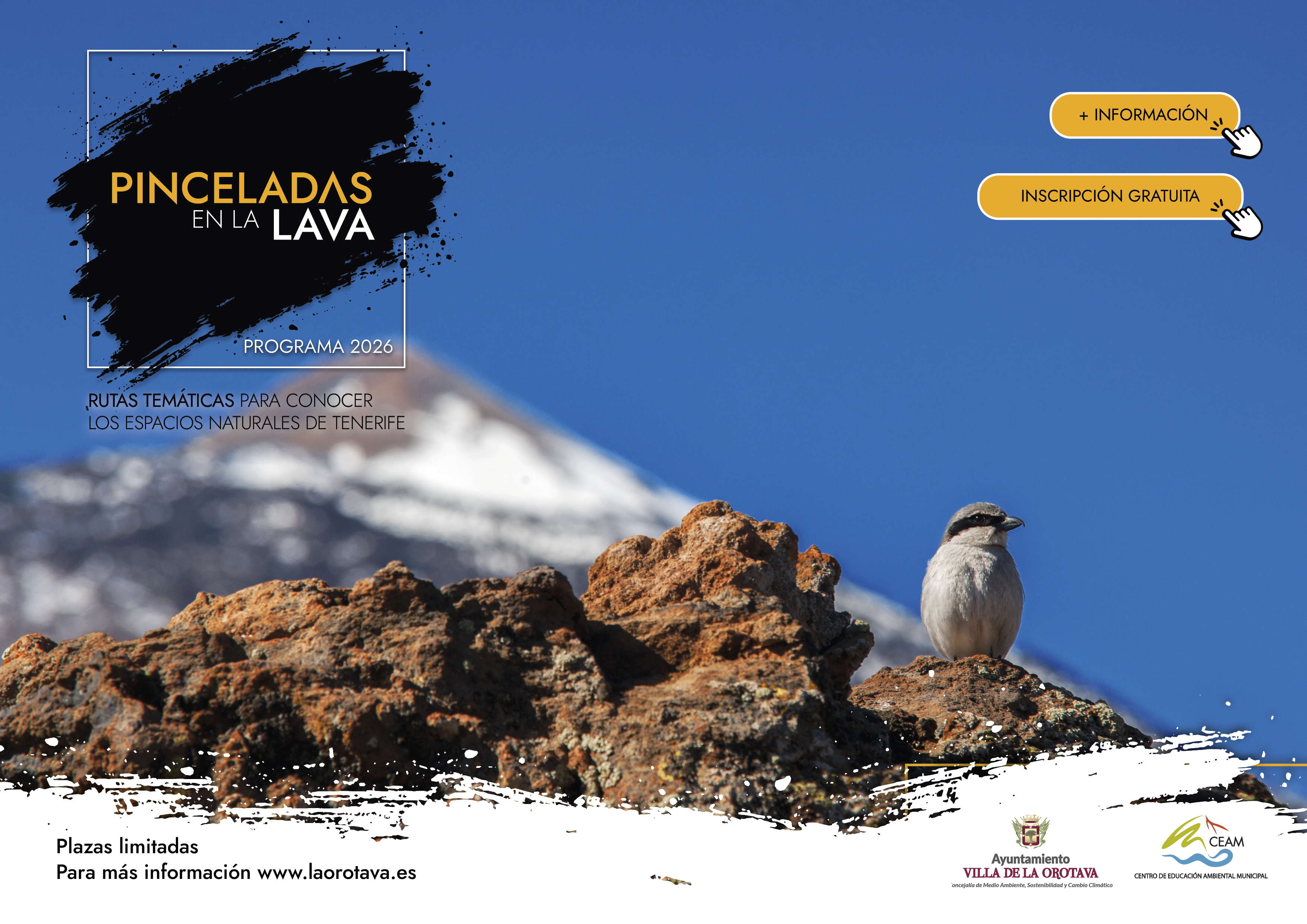 Pinceladas en la lava 2026