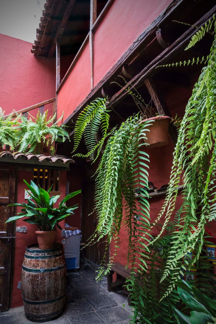 Casa Benítez de Lugo - Hotel Rural Orotava 8
