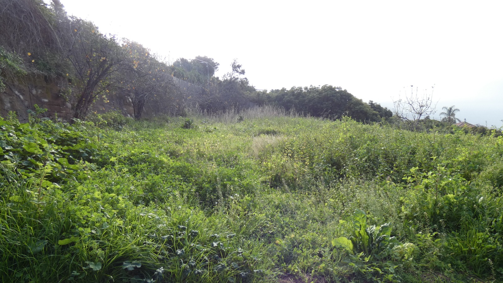 finca_el_cercado3