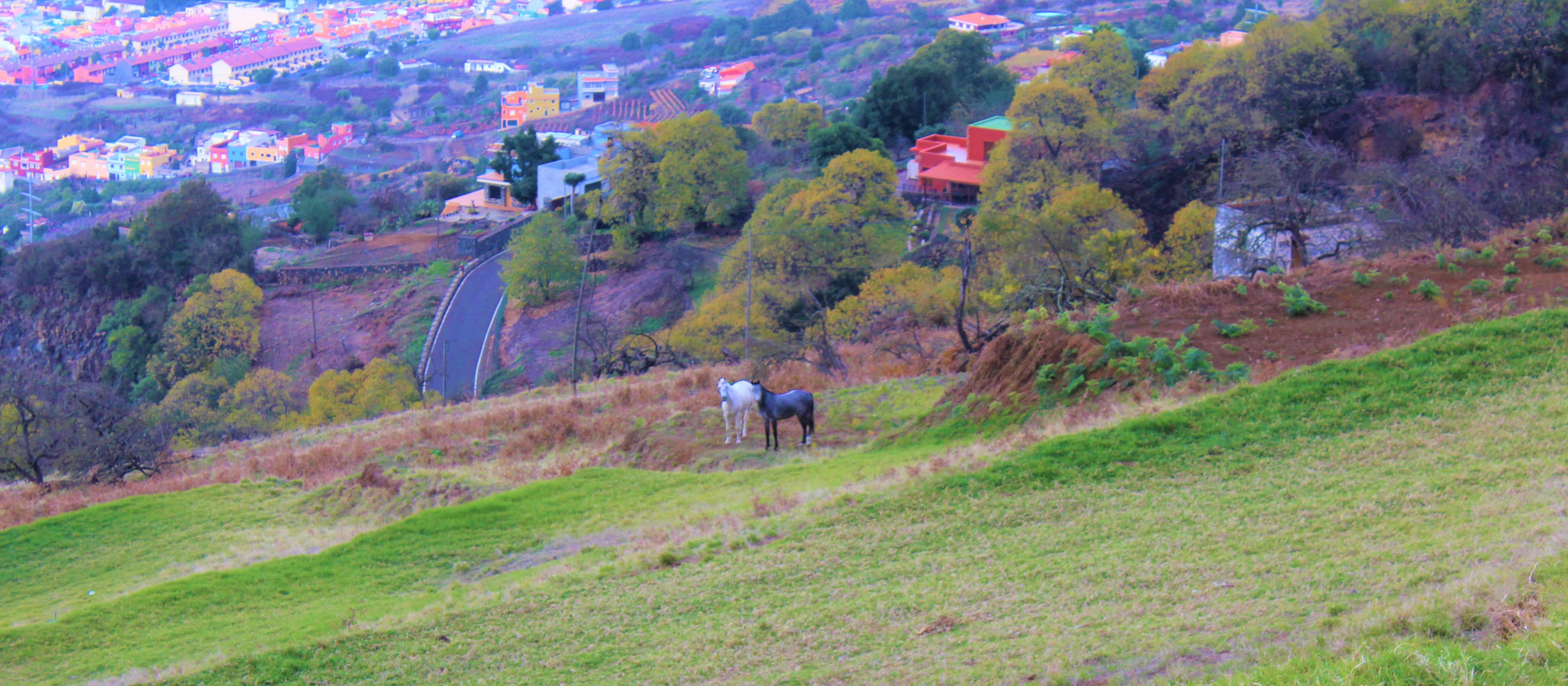 Mirador Plaza de Benijos_003