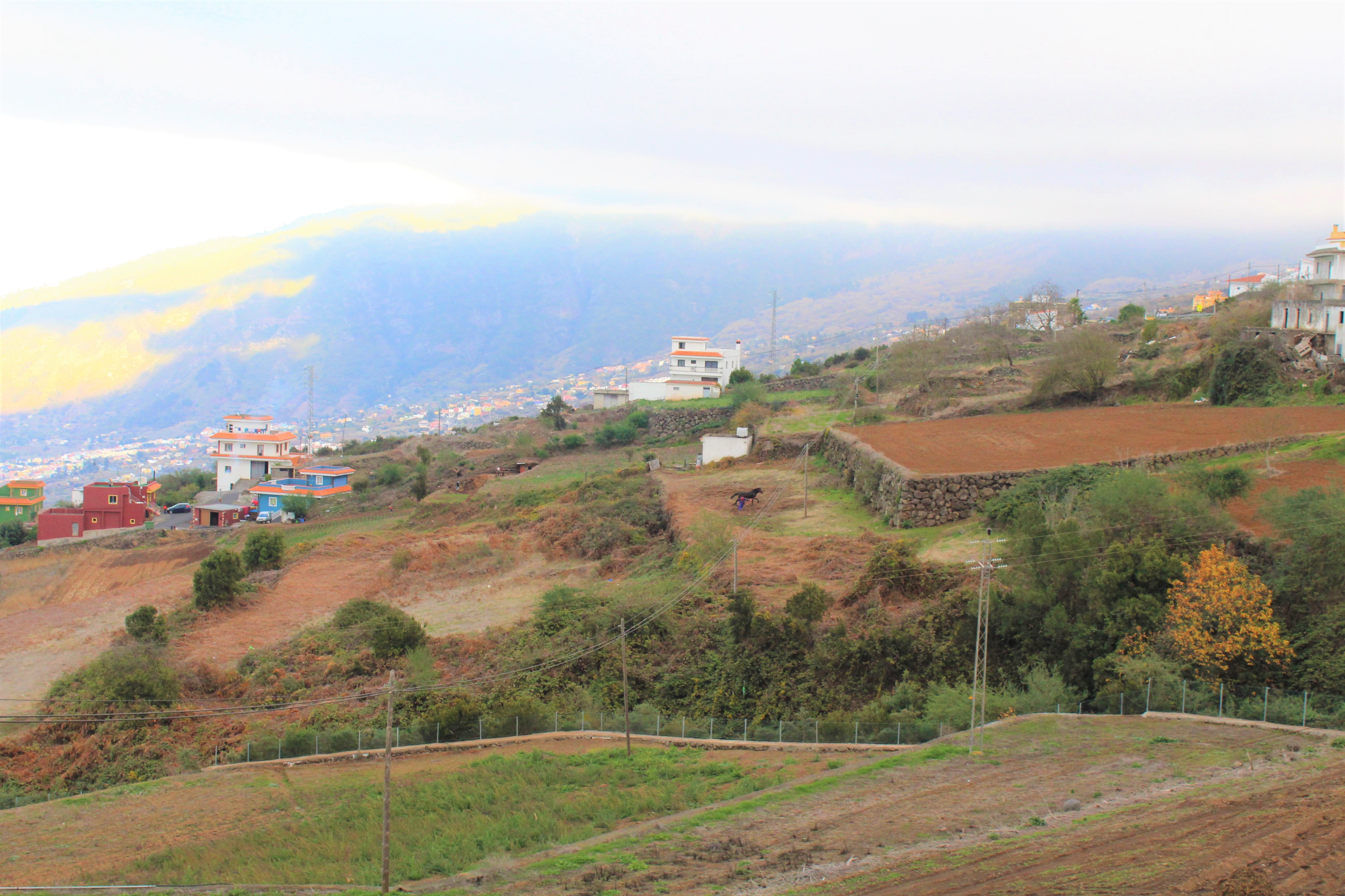 Mirador Plaza de Benijos_006