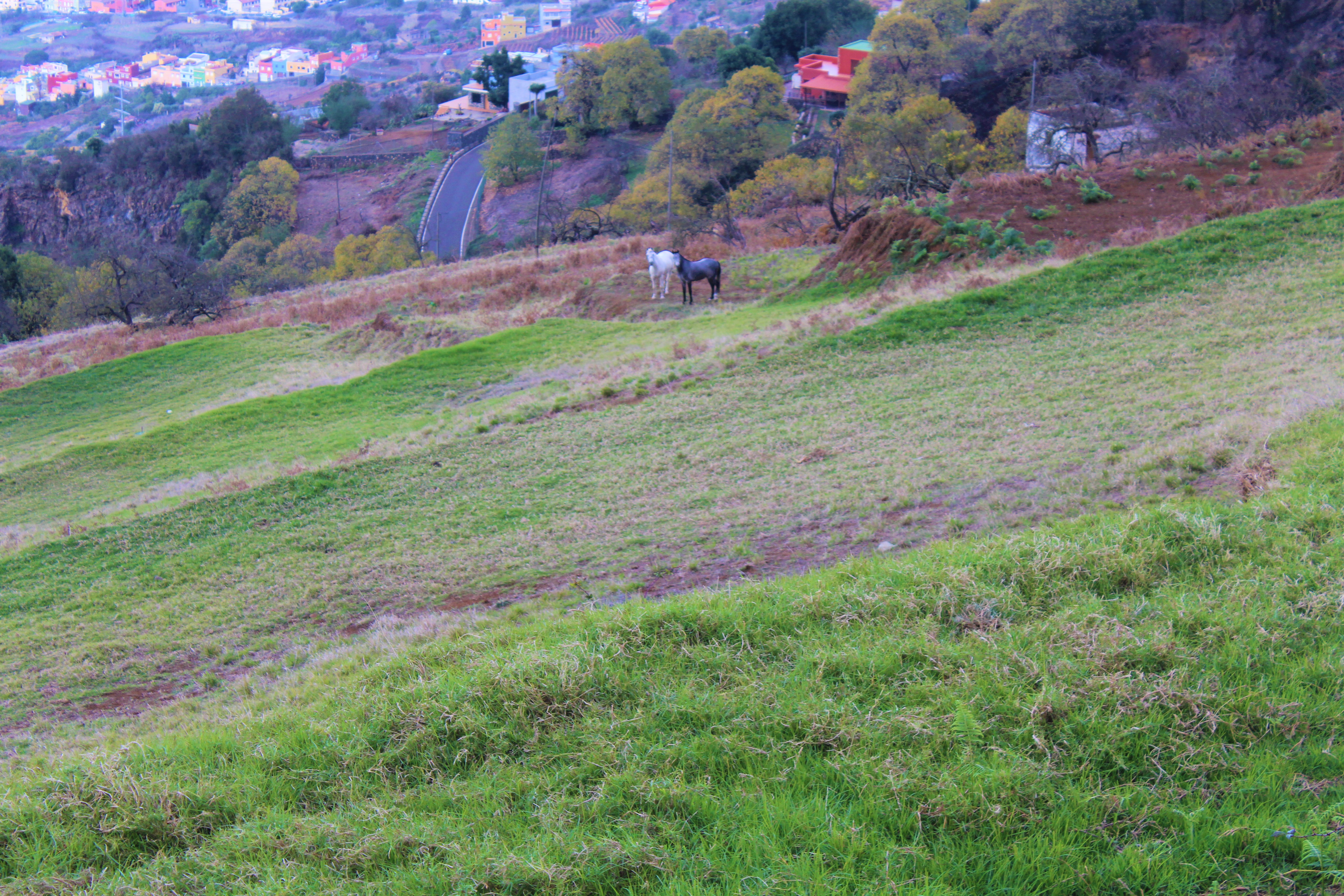 Mirador Plaza de Benijos_010