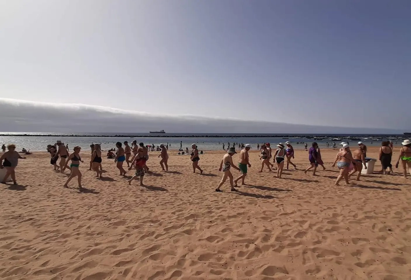 363388852_6439779589446162_6456237727729827397_n