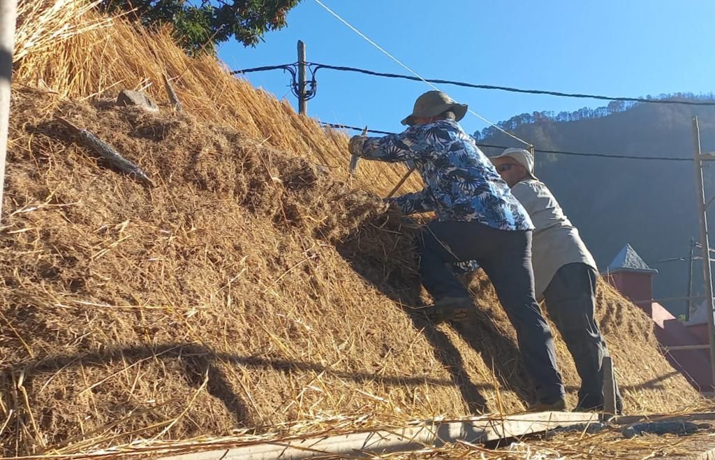 WhatsApp Image 2023-11-20 at 18.37.17